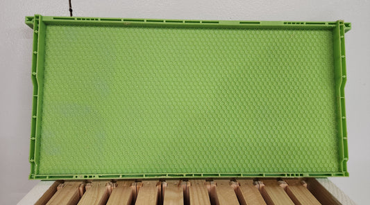 Drone Comb Foundation