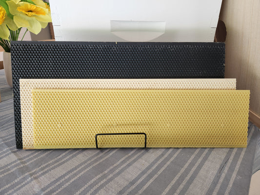 Plasticell Foundation