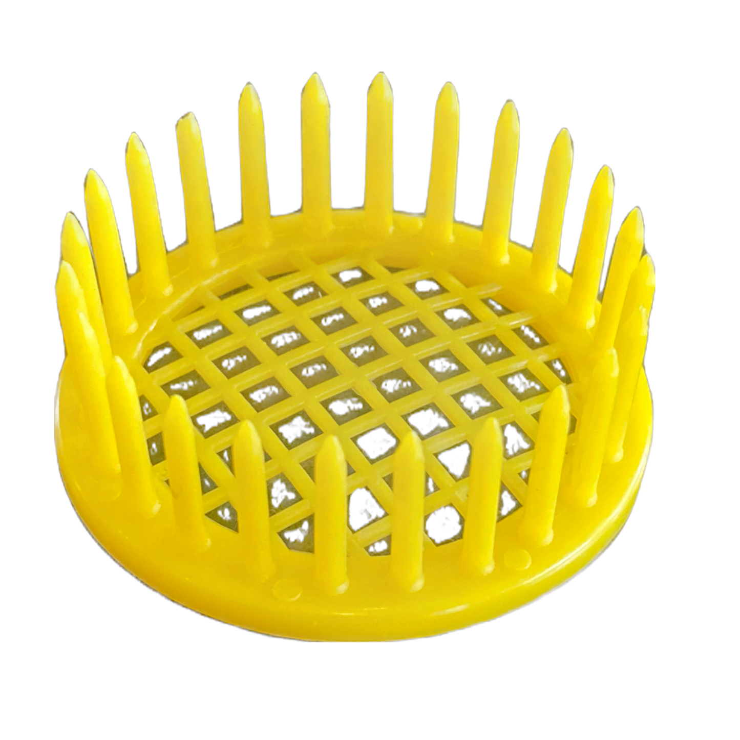 Push-In Queen Marking Cage