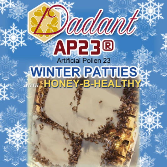 AP23 Winter Patty