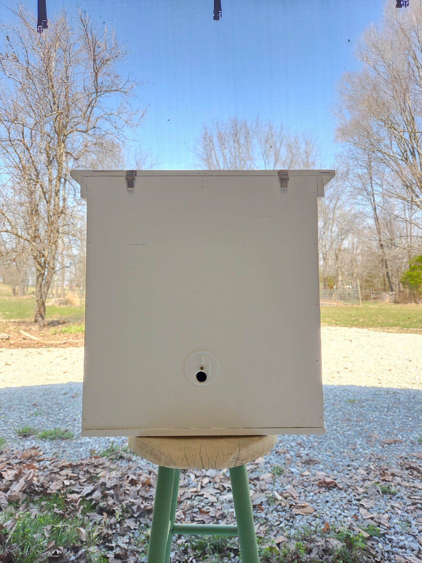 Swarm Trap